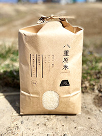 八重原米 減農薬・特別栽培米